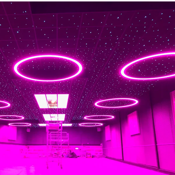 

ECOJAS Rgb Led Smart Ceiling Chandelier Lamp Remote Control Bedroom Chandeliers for Living Room Party Decoration Led Light