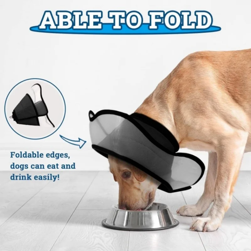 مستلزمات الحيوانات الأليفة للقطط والكلاب، طوق إليزابيث العالمي