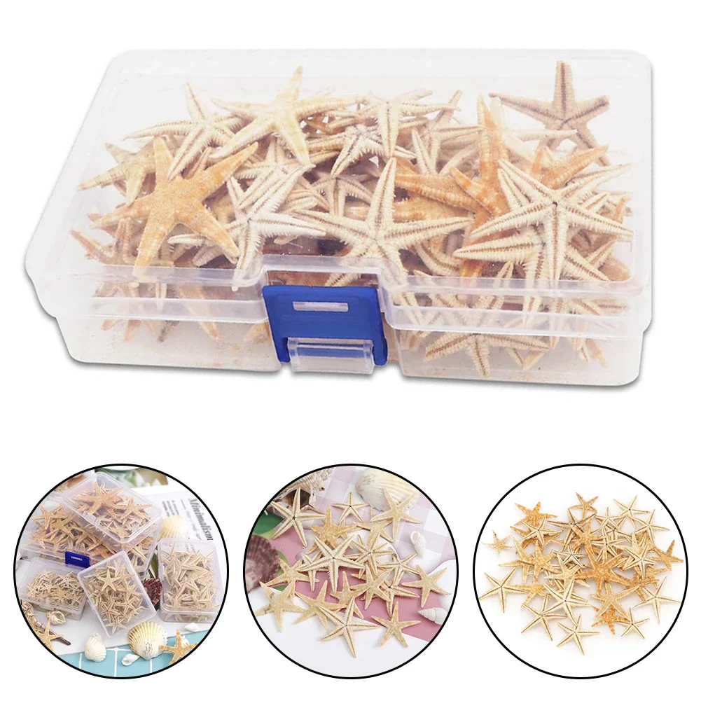 1 Box Starfish Seashell Practical Mixed Starfish Seashell Portable Natural Mixed Reusable Realistic White Star Fish Tank Decor