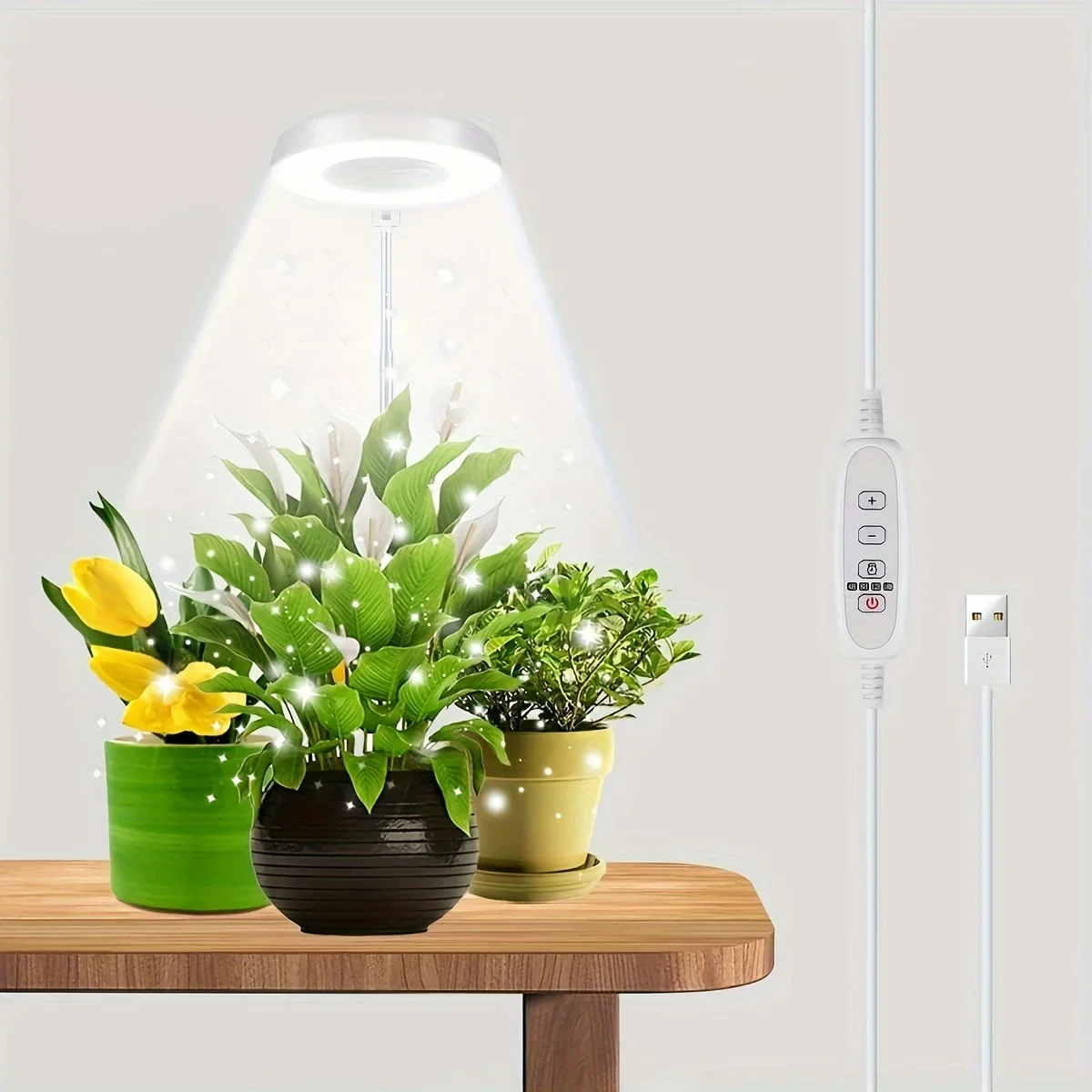 USB Angel Ring Grow Light Phytolamp for Plants with Control Full Spectrum Fitolamp Lights Home Flower Seedling
