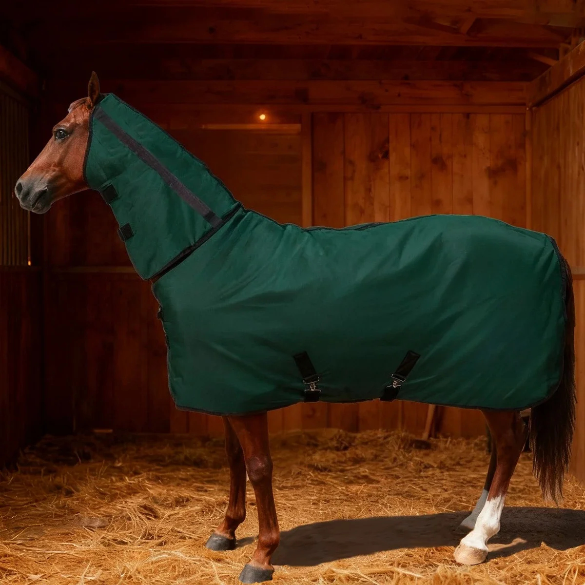 Windproof and water-proof winter horse clothes, thickened warm winter horse clothes