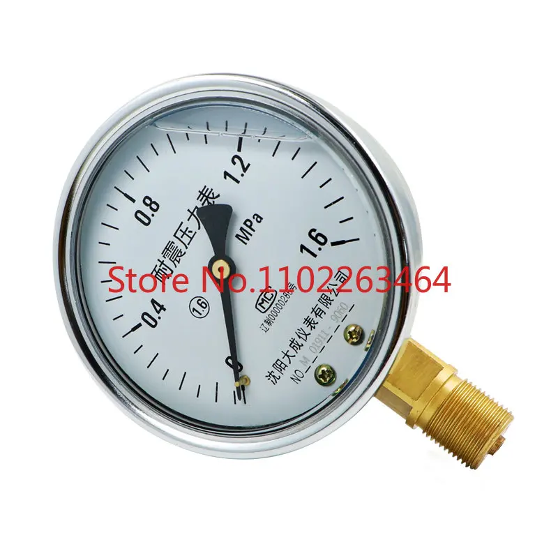 

[Dacheng] Seismic pressure gauge YN-100 (0-100MPA) oil pressure gauge hydraulic pressure gauge seismic/axial gauge