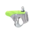 Fluorescent Green 