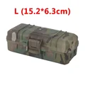 CP L