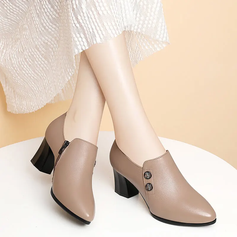 Genuine Leather Shoes Dress 2024 New Autumn Women\'s Shoes Pointed Toe Thick Heel Ladies High Heels Spring Work Shoes Mid-heel