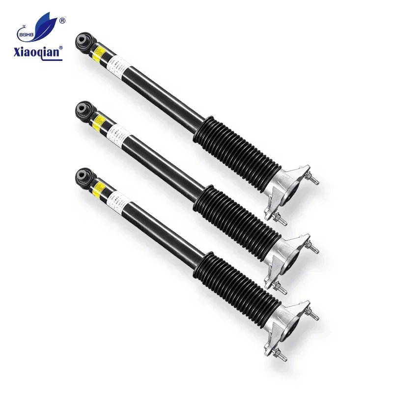 OEM 1044461-02-E  1044461 amortisseur arrire Rear RWD LH&RH suspension shock absorber  For Tesla Model 3 Y