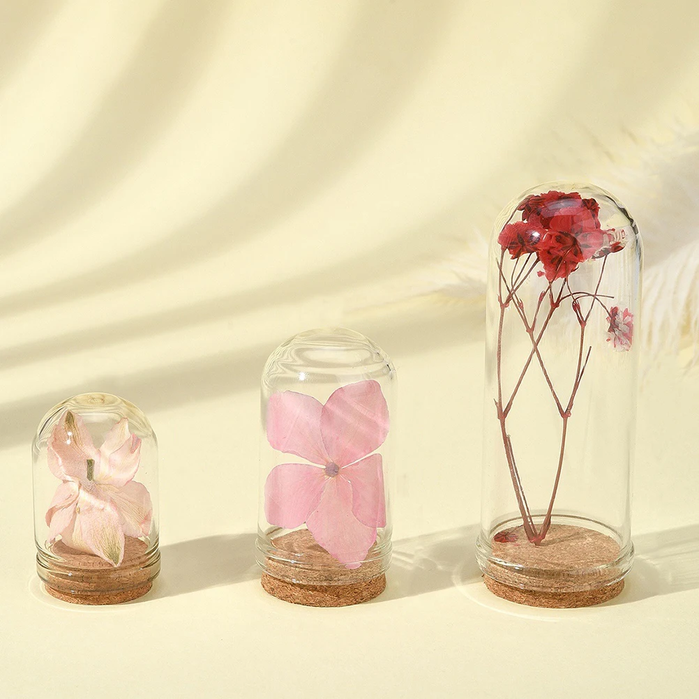 

15pcs Dome Cloche Small Display Case Glass Dome Clear Micro Landscape Showcase DIY Dried Flowers Miniature Decor