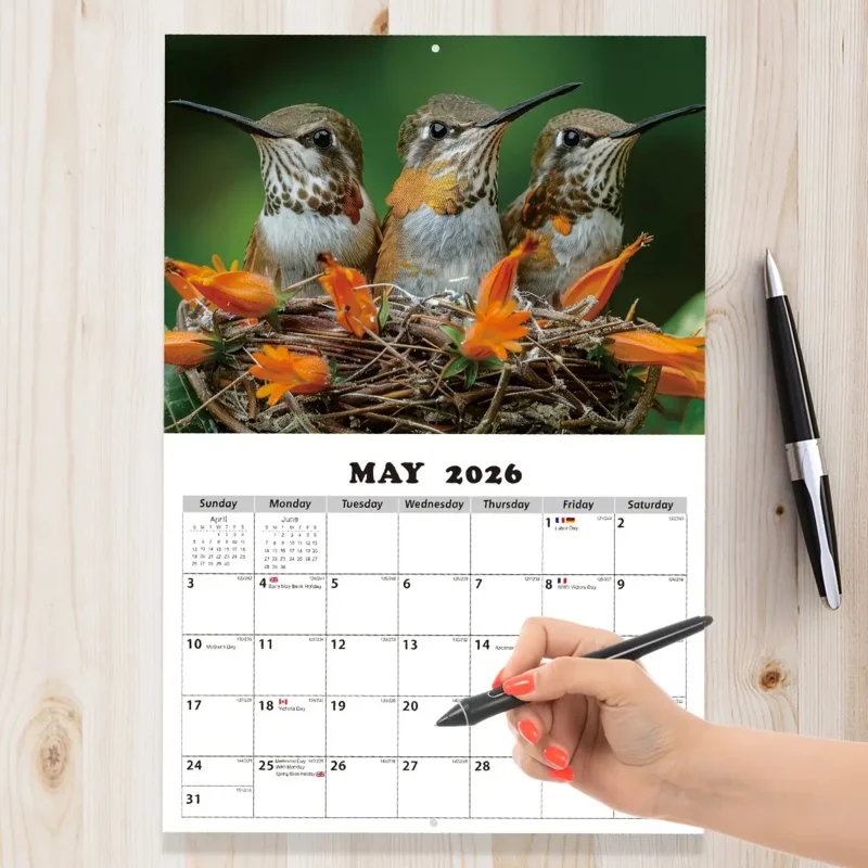 1Ben 【2026Hummingbird Wall Calendar】تقويم طبيعة InsWind، غطاء تصوير عالي الدقة للطائر الطنانة
