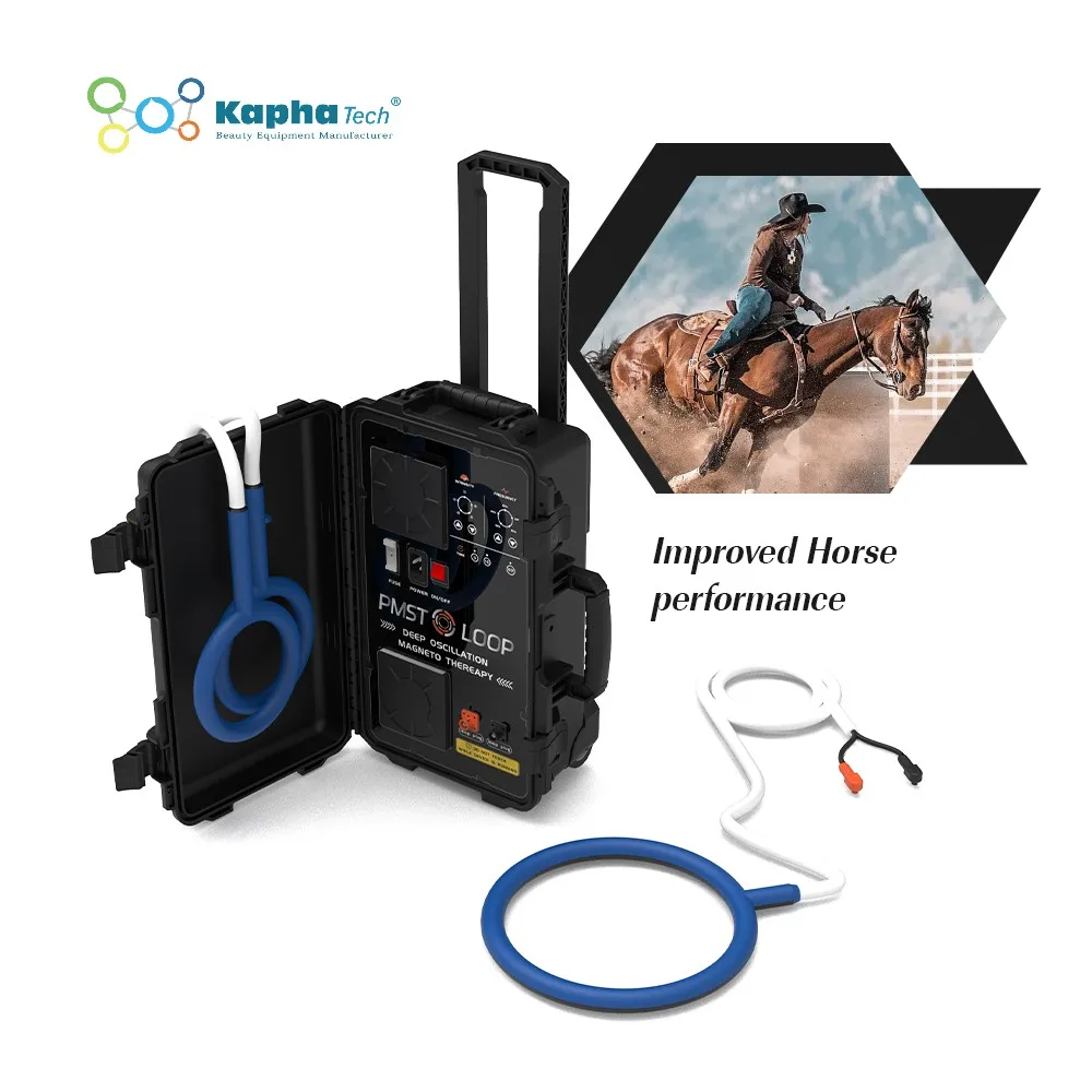 

Equine PEMF Magnetic Therapy Health Wave PMST LOOP Machine for Horses with 6000GS Energy