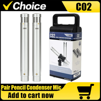 C02 Pencil Condenser Microphones Small-Diaphragm Suspension Pencil Shockproof Clip Microphone Piano Mic Pencil Type Record c02