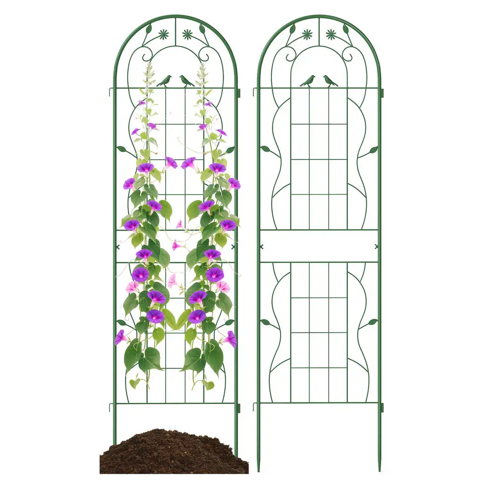 2 Pack Metal Garden Trellis 71 X 20 Inch, Climbing Plant Support For Rose Vine Ivy Cucumber, Outdoor Yard Patio Planter, Green