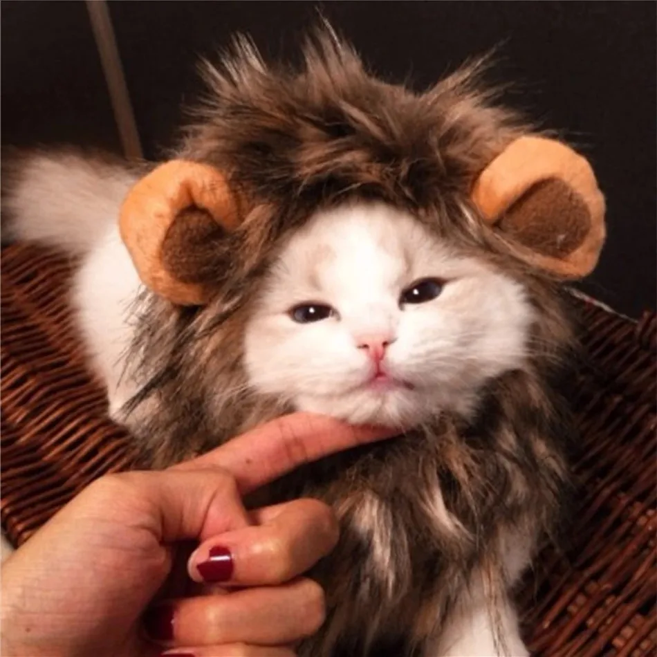 Cute Lion Mane Cat Wig Hat cover Funny Pets Clothes Cap Fancy Party Dogs Cosplay Costume Kitten Puppy Hat with Ears Accessories