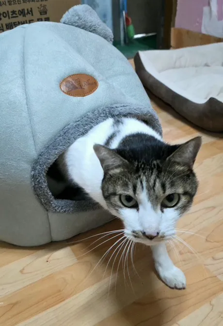 리뷰 사진