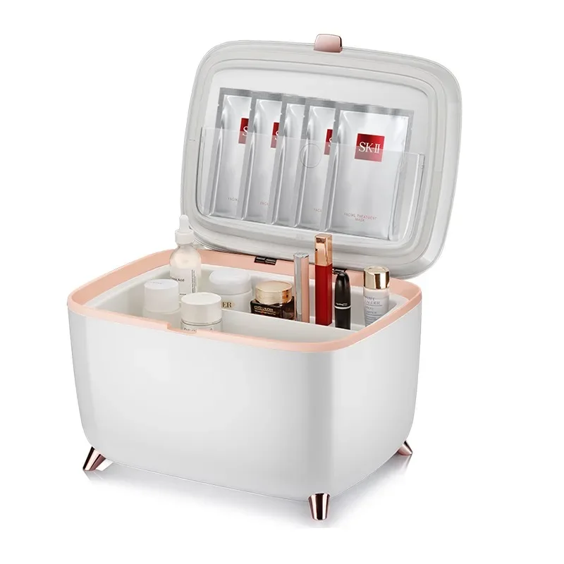 

6L 10L Adjustable Hot Cold Eco Skin Care Beauty Fridge For Bathroom Home Car