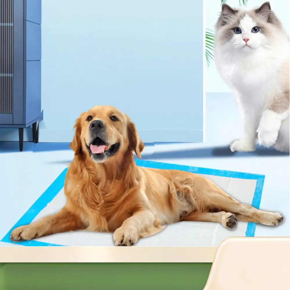 Charcoal Dog Training Mats Disposable Pet Pee Pads Thickened Highly Absorbent Puppy Potty Sheets Odor Neutralizing Supplies