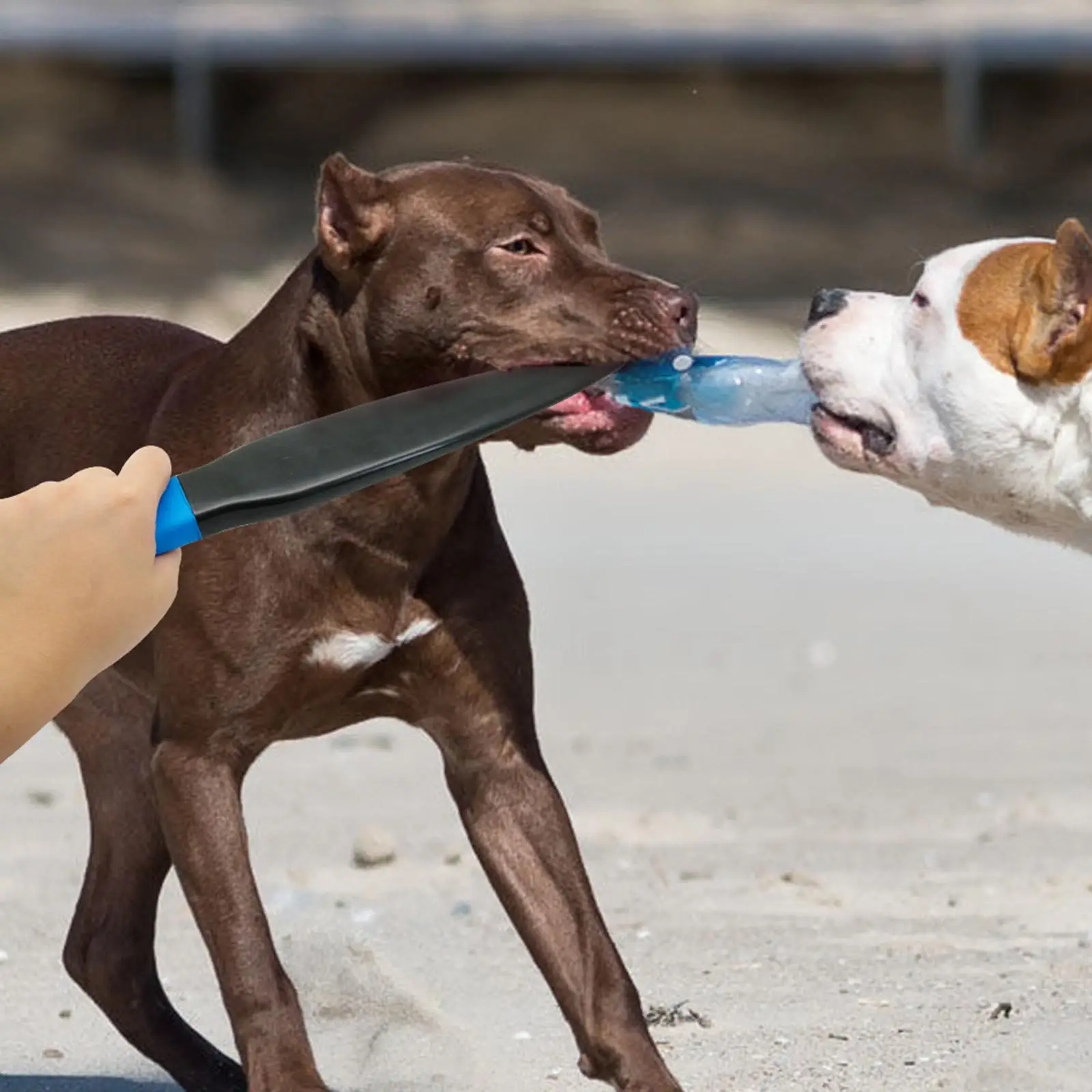 Dog No Bite Sticks Interactive Protective Crowbar for Training Strong Dogs Pitbull