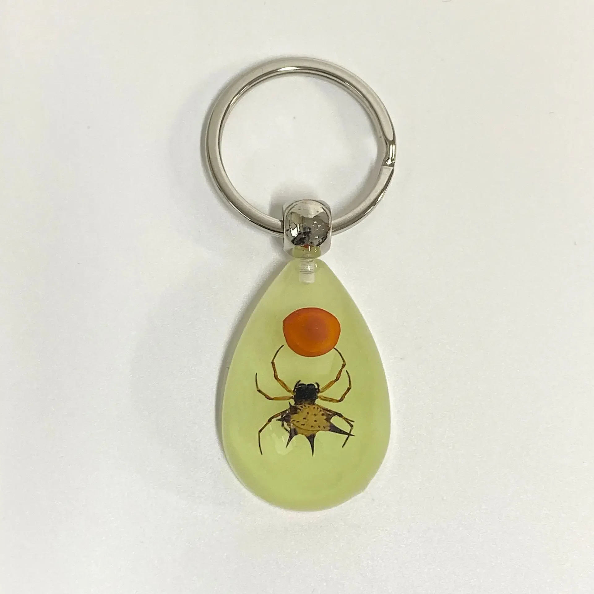 6 stuks insect specimen sleutelhanger, kunstmatige epoxyhars auto hanger, kantoorornament, insect amber hanger woondecoratie