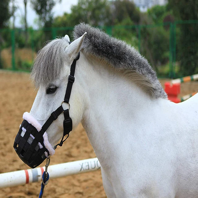 Zimowy, gruby, pluszowy kaganiec dla konia, zapobiegający gryzieniu, sprzęt do treningu i ochrony podczas pasowania.