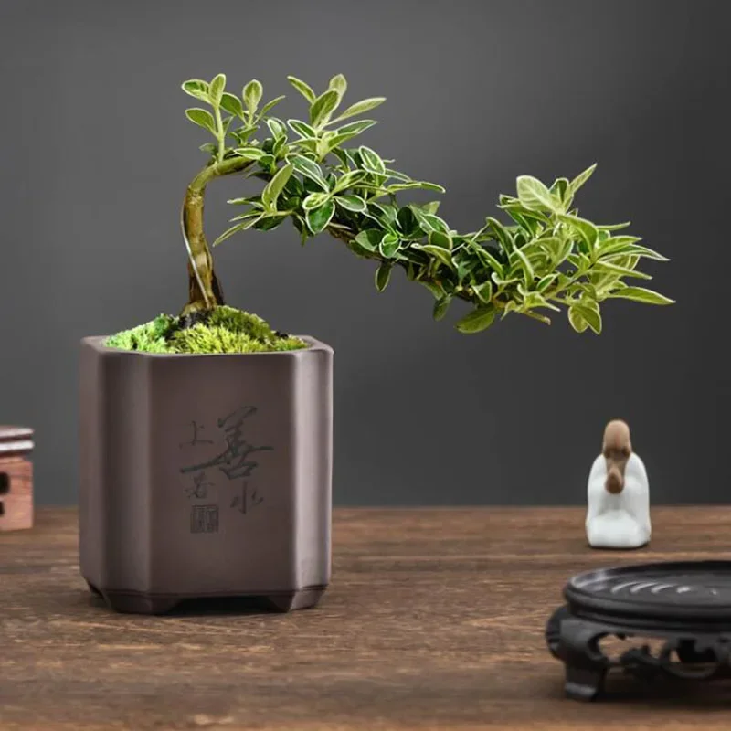 Chinese Style Purple Clay Bonsai Vase Flowerpot Planter Container with a Desktop Hole Ornaments Home Garden Decor