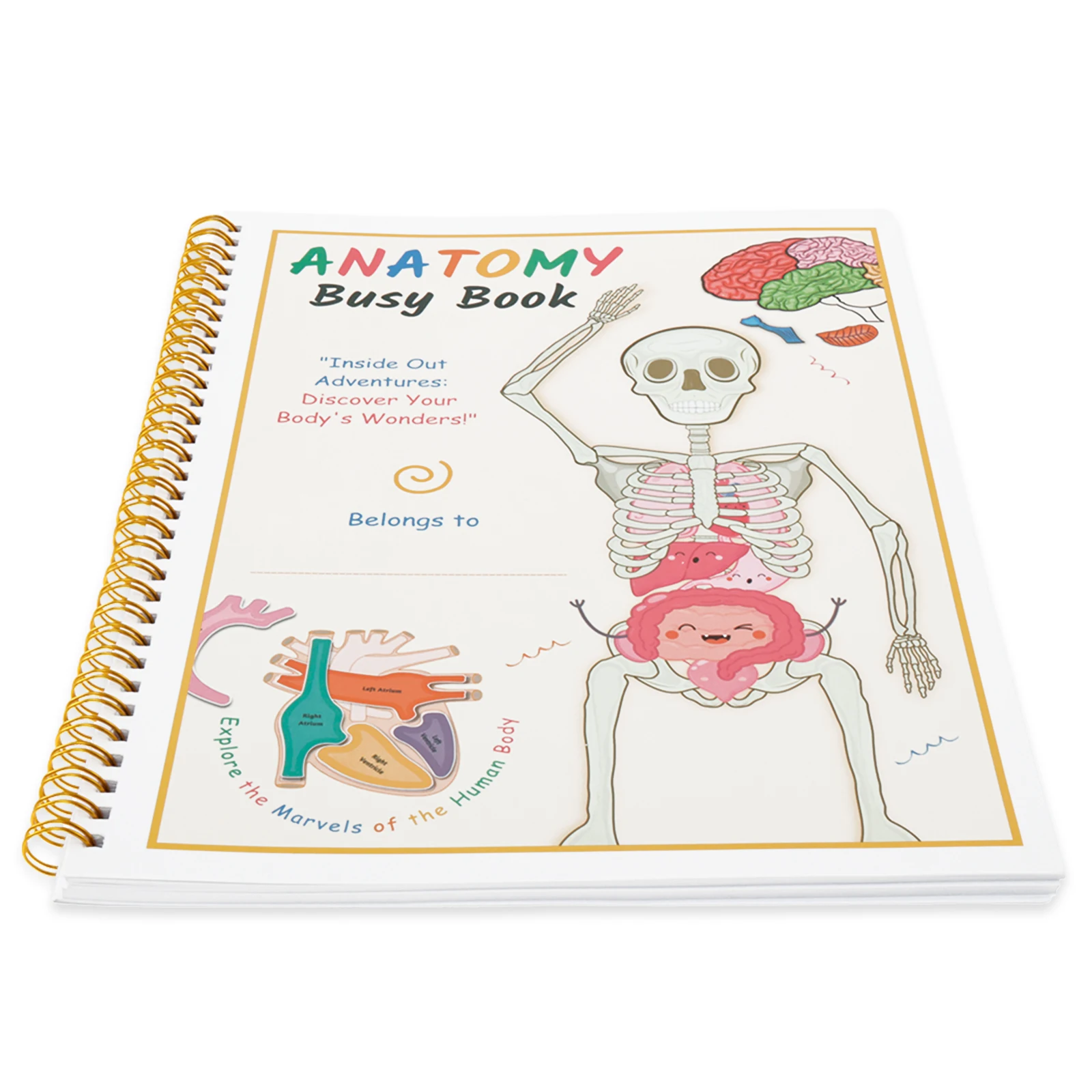 Human Anatomy Quiet Book Human Organ Match Quiet Book Preschool Interactive Anatomy Quiet Book for Kids Educational Multipurpose