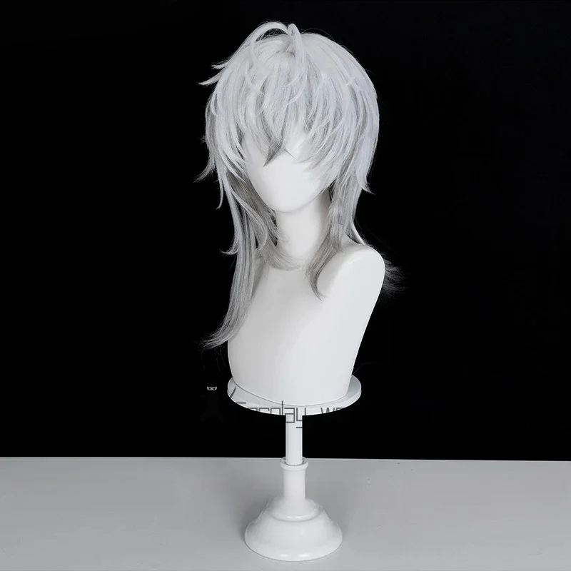فرسان SilverAsh the Reignfrost شعر مستعار تأثيري فضي رمادي مجعد الكتف طول الشعر مقاومة للحرارة الباروكات للرجال النساء كرنفال #4