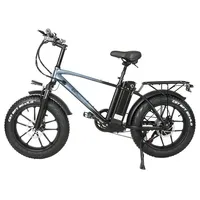 CMA bike T20 electric bicycle 20*4.0 inches CST fat tire 750W mountain electric bicycle 40-45km/h maximum speed 48V 17Ah outdoor