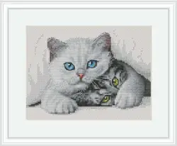 MM200644 Cross-Stitch Canvas Set Needlework Floss Embroidery Joy Sunday Undefined Fabric Kit Handicrafts Toile Dmc Style Counted