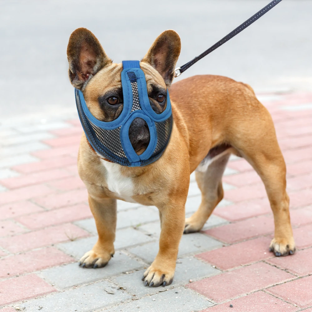 Atmungsaktive Mesh-Hundemaulschnalle, professionelles Nylongewebe, kurze Mundmaske mit französischer Bulldogge, Anti-Stopp-Bellen für DogMouth-Maske – Detail 3