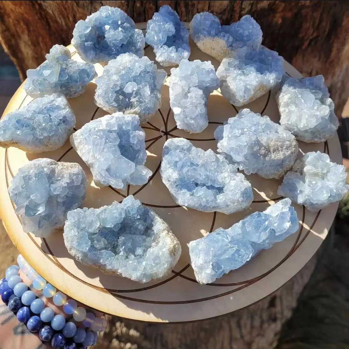 1pc Natural Celestite Crystal Raw Druzy Cluster Sky Blue Geode Rough Mineral Blue Celestite Geode Celestite Raw Crystals Healing