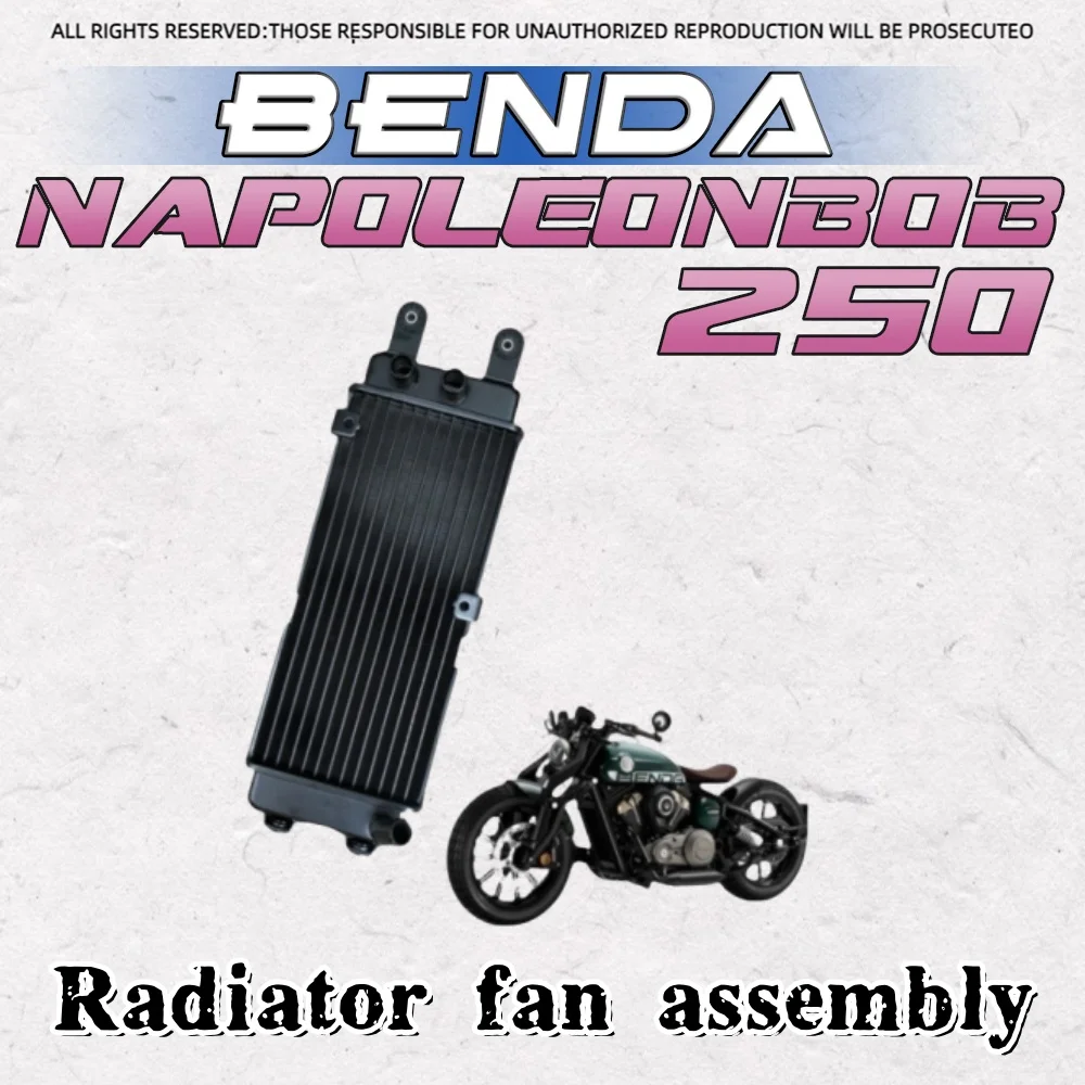 

For BENDA Napoleonbob 250 radiator fan assembly coolant radiator BD250-30 motorcycle original parts for benda napoleonbob 250