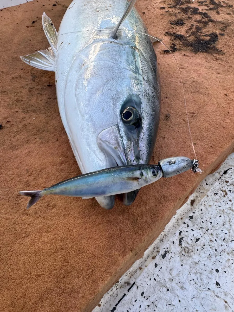 Billings 1 Stück/3 Stück 3D-Gedruckter Bionischer Makrelen-Angelköder 14,5cm/33,5g Bleifreier Downrigger-Köder für Salz- und Süßwasser Universell Einsetzbar – Detail 9