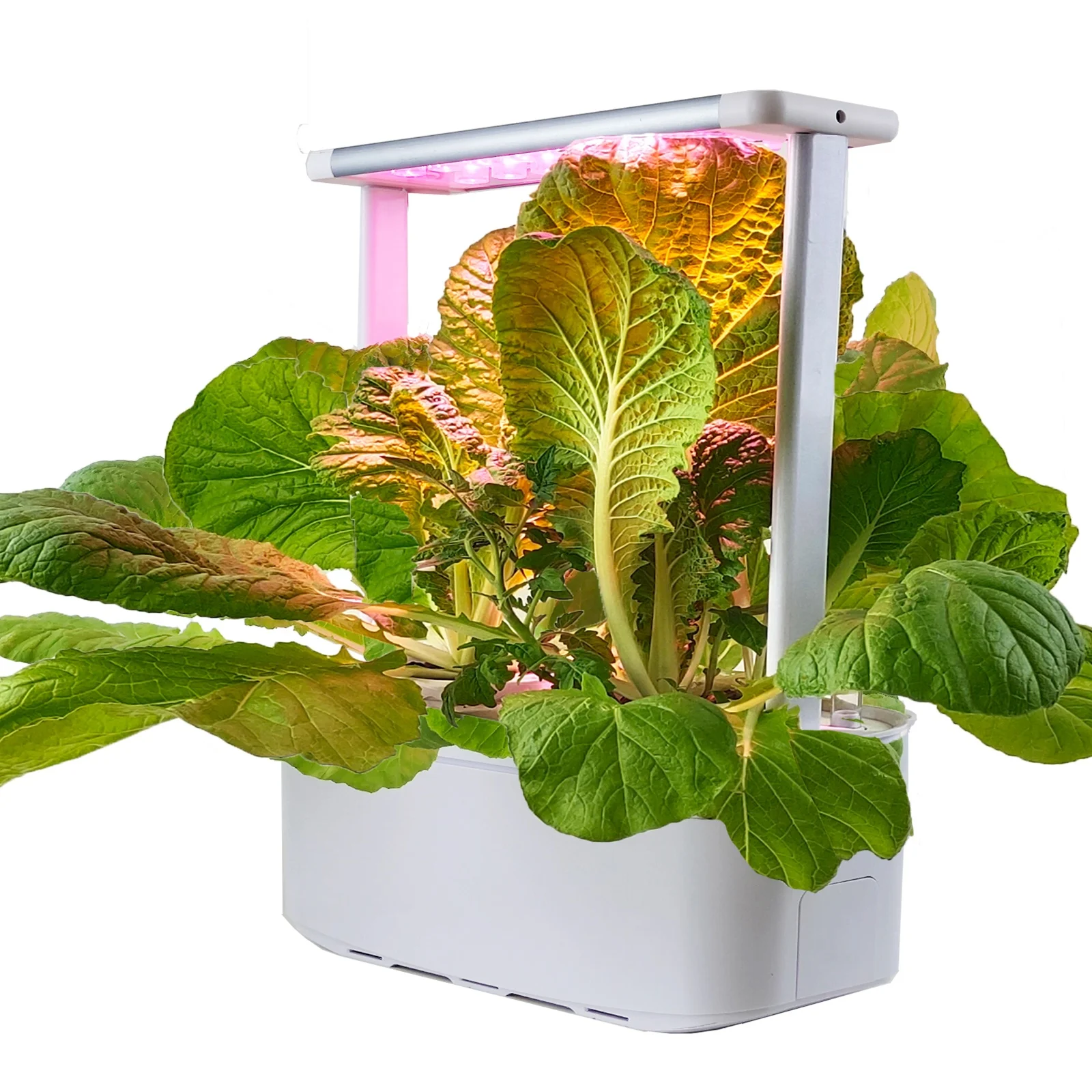 

Self Watering Planter Pot strawberry blueberry Indoor Smart herb garden planter set garden raised bed self watering pot