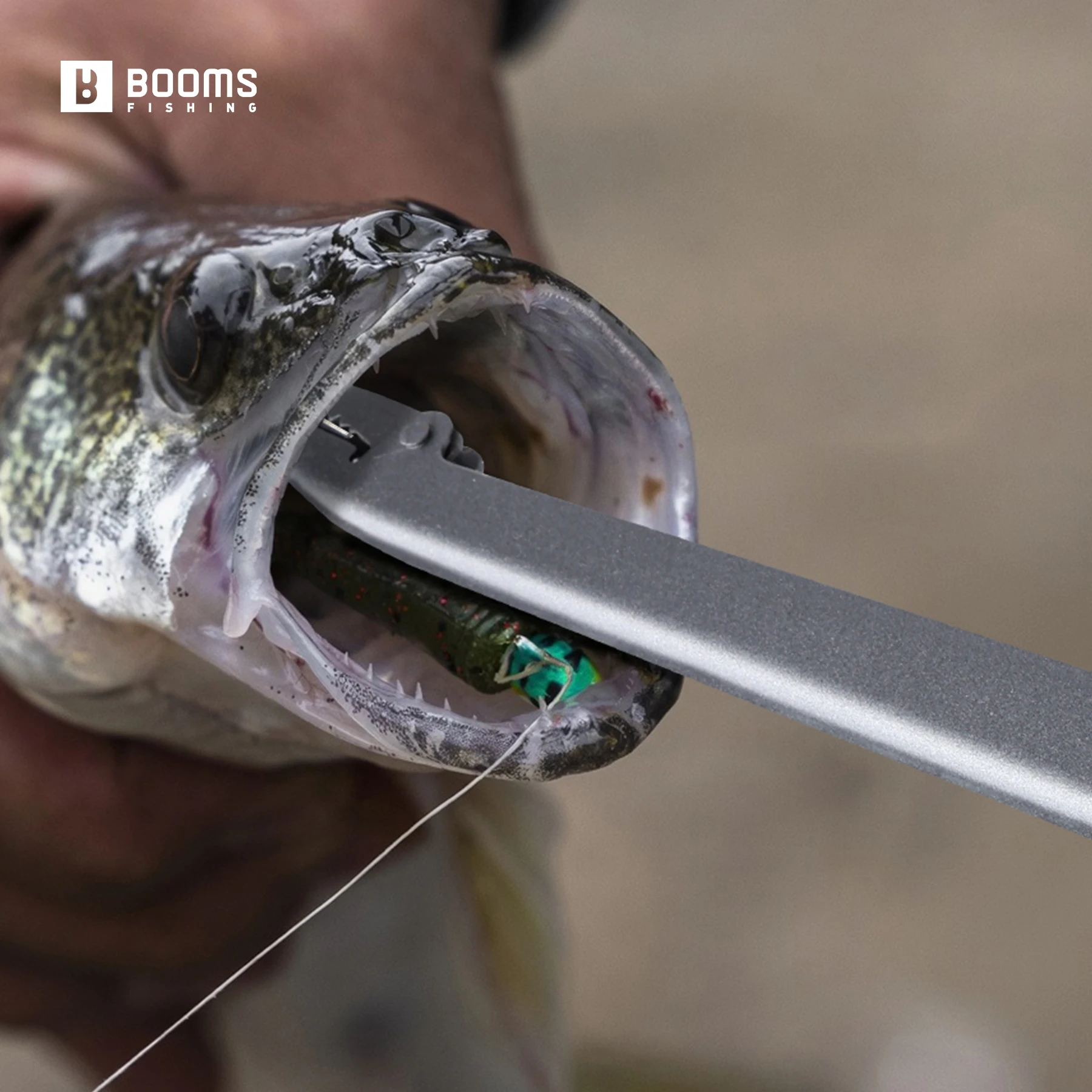 Alat Pemutus Kail Ikan Panjang - Used Fishing Equipment Near Me ulasan dan harga