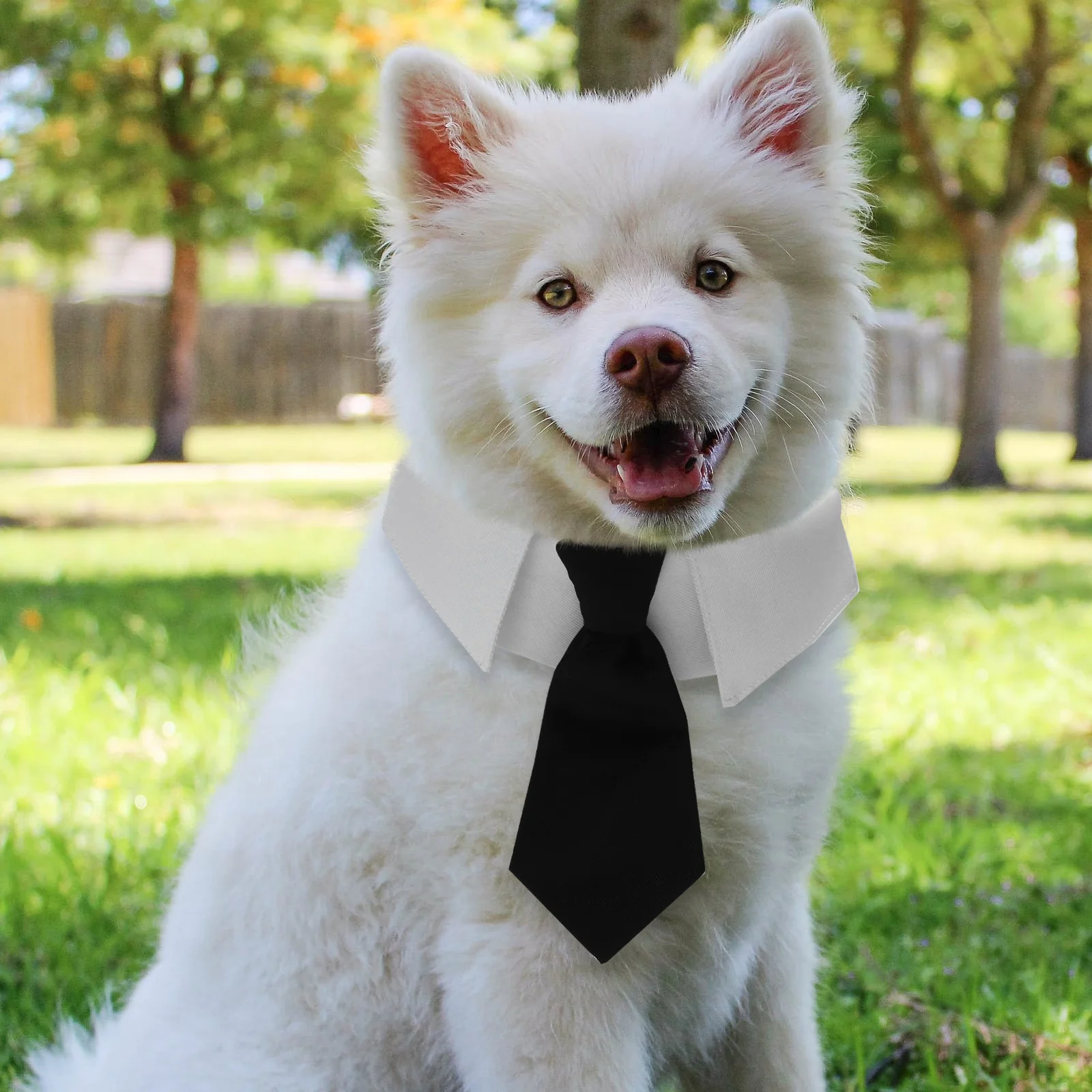 

Tie Dog Neck Collar Pet Necktie Manual Ties for Dogs Bowtie Cotton Neckties Accessories