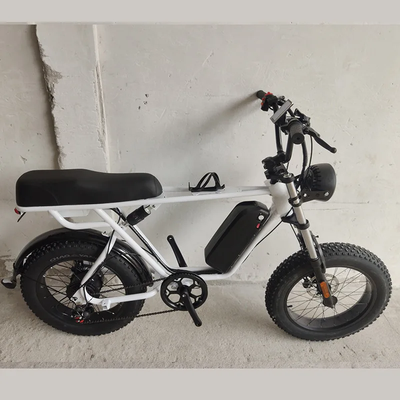 bicicleta elétrica da bateria de lítio da bicicleta 48v500w da montanha da bicicleta da neve de 20 polegadas