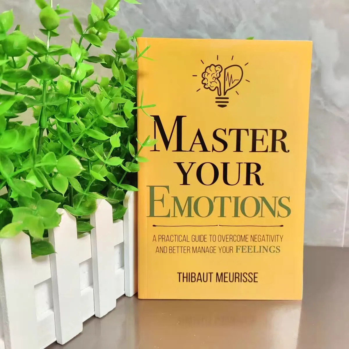 Master Your Emotions By Thibaut Meurisse, Practical Psychology Self Help Book Guide To Overcome Negativity & Manage Your Feeling
