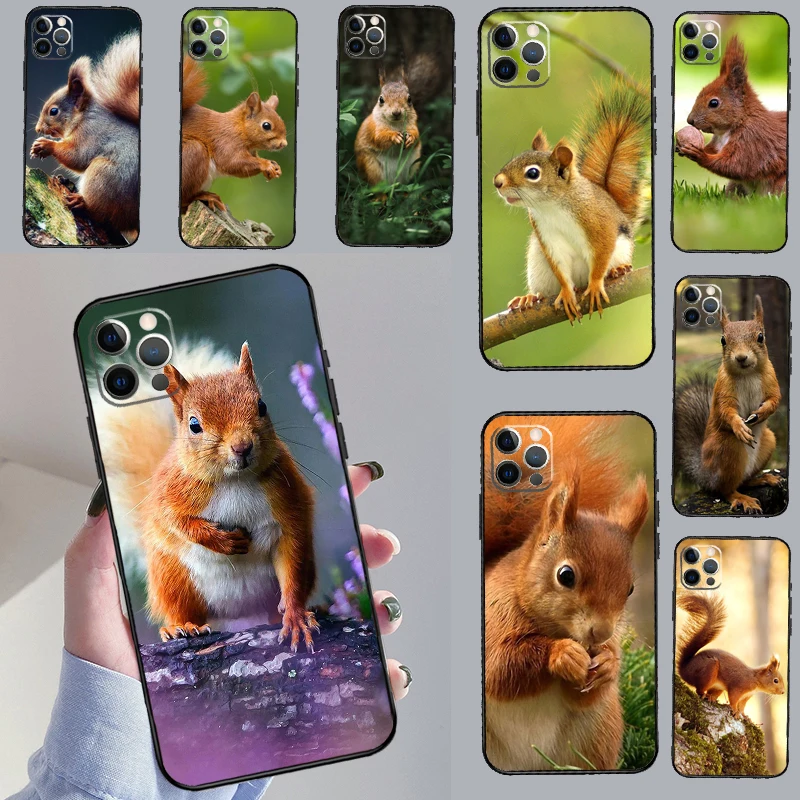Squirrel Case For H… - image