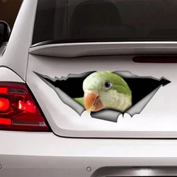 quaker parakeet decal, parrot sticker, car decal, green bird decal