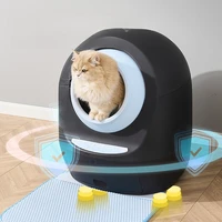 Arenero grande cerrado automático inteligente