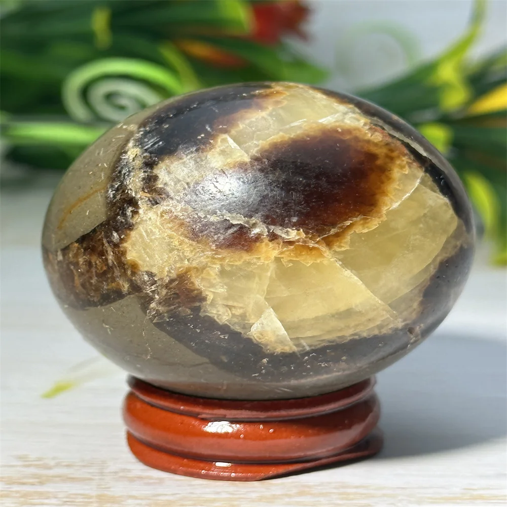 Natural Turtle Back Crystal Stone Ball Hand-polished And Polished To Heal Energy Aura Home Fengshui Altar Decoration Decoration