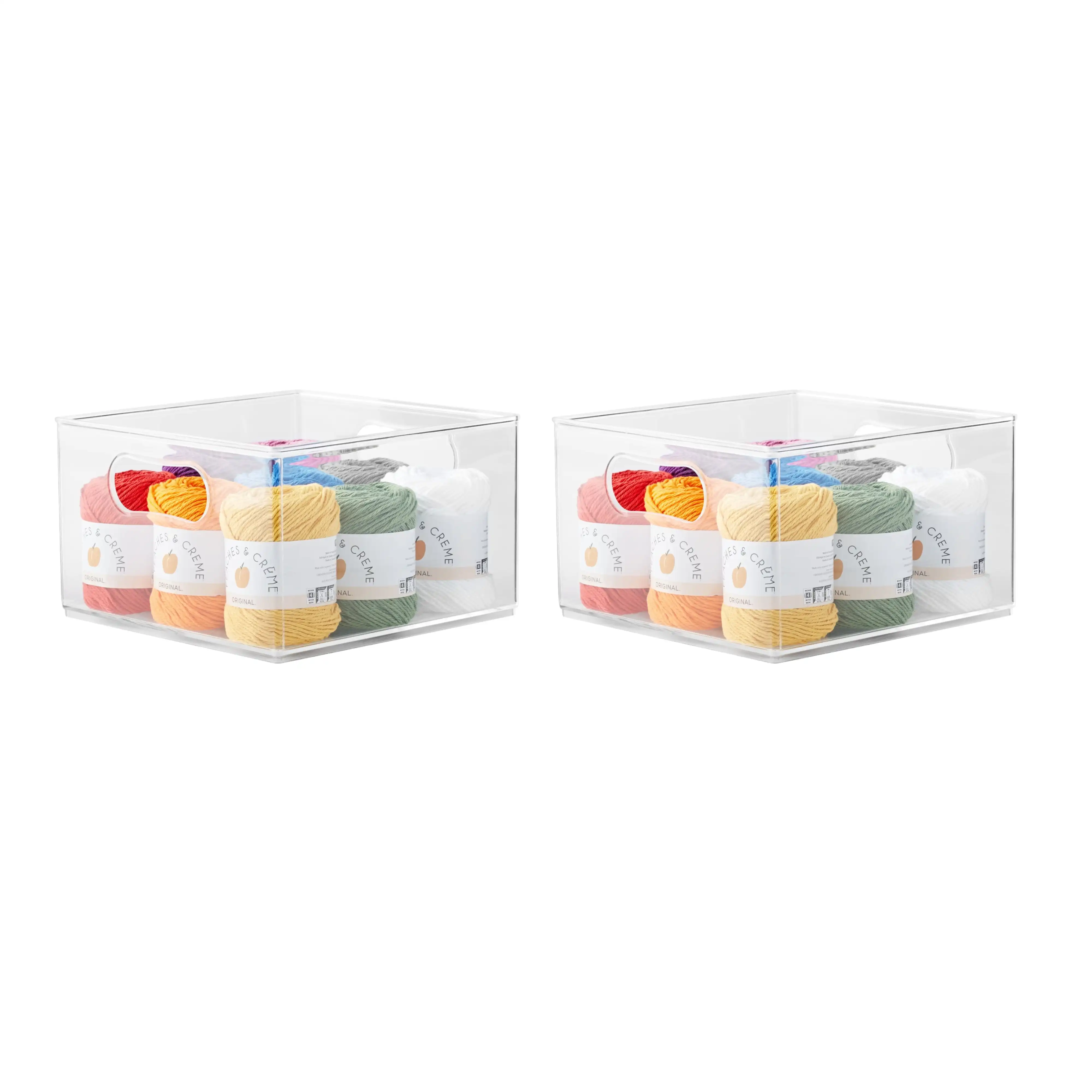 Large Clear Plastic Storage Bin Organizer, 2 Pack, 10