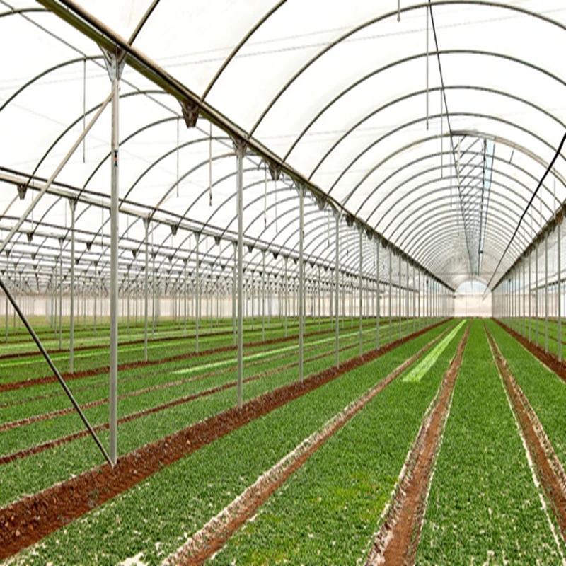 

Customized greenhouseMulti-Span PE PO Film Greenhouse with Hydroponic System for Vegetable Planting