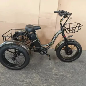 Elektrische Dreirad 20 -Zoll -Fettreifen 500W12AH Snow Mountain 3 Räder Elektrisches Fahrrad Freizeit Großer Lagerkorb Erwachsener Dreirad Dreirad Dreirad 10 Hauptverkaufsmoto -Dreirad Elektro - №10