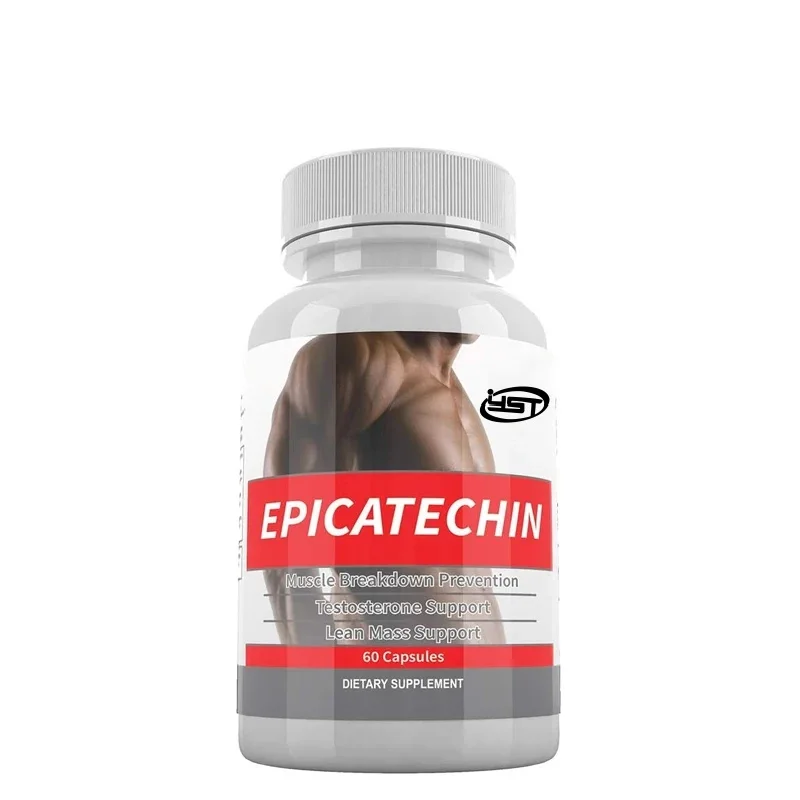 EPICATECHIN - Maximizing Muscle Growth - Increasing Protein Synthesis, Gain, and Lean Muscle