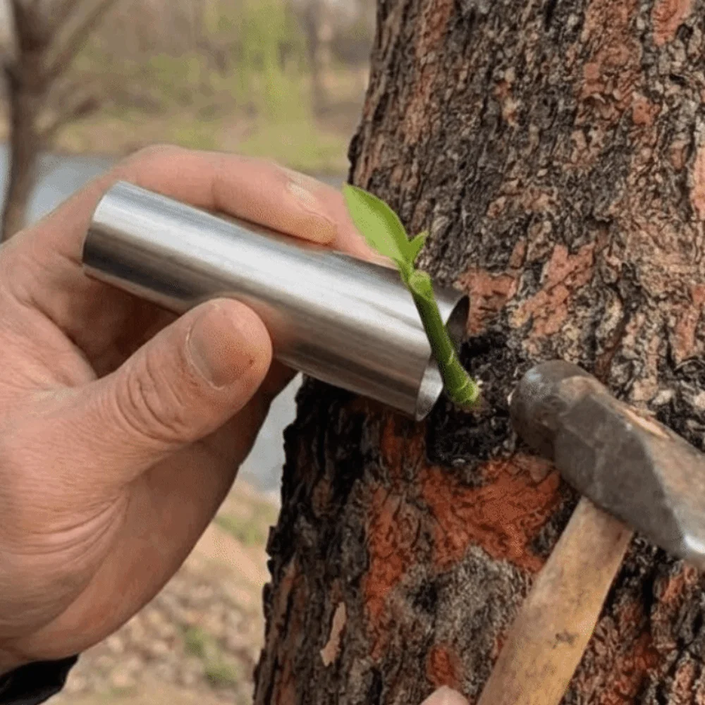 ชุดเครื่องมือต่อกิ่งสแตนเลส 5  - Gardening Tools Japanese บทวิจารณ์และราคา