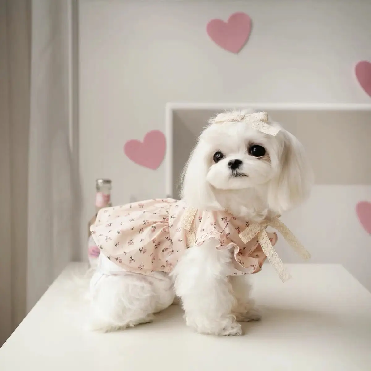 Falda de primavera con rosas para gatos y perros pequeños