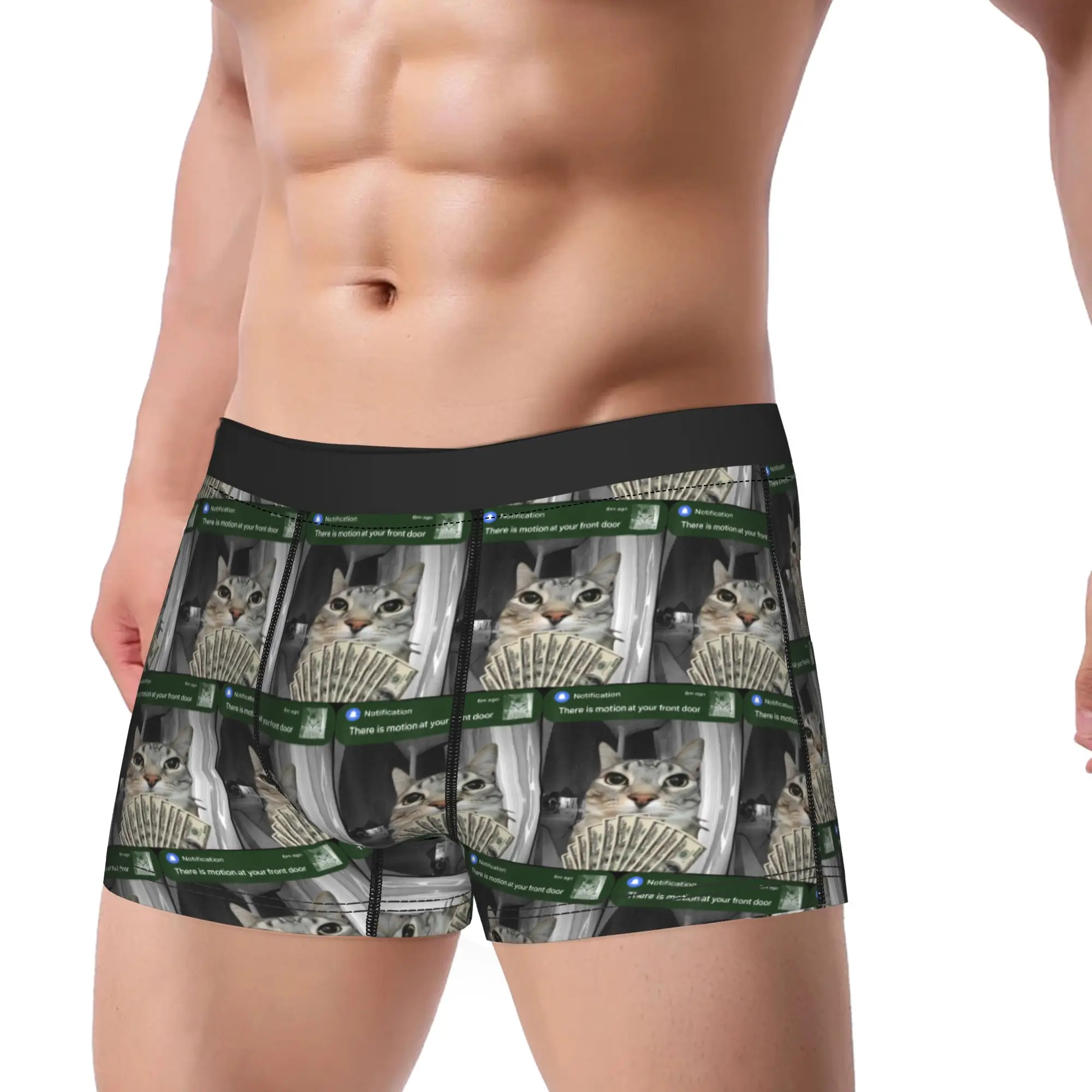 There is Motion at Your Front Door Funny Cat Motion Meme Underwear Shorts Briefs Sexy Soft Boxer Shorts Trenky Oversize Panties