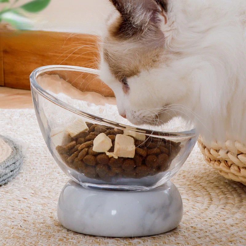 New Non-slip Cat Bowls Glasses Single Bowls with Stand Pet Food&Water Bowls for Cats Dogs Feeders Pet Products Cat Bowl