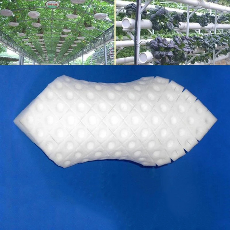 100 Pcs White Seedling Sponge Soilless Hydroponic Vegetables Cultivation Plant Nursery Pots Seedlings Cloning Collar Garden