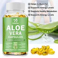 Aloe Vera Supplements for Bowel Constipation, Appetite Control, Fat Burning and Weight Loss